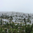 Junkerdal