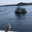 plovouc� kra v z�livu Bjørvika