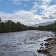 NP Stabbursdalen
