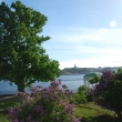 Djurgarden