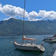 Limone