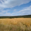 Jizerka