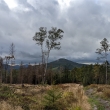 Tol�tejn a Jedlov� z Koz�ho h�betu