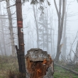 Beskydy, Velk� Polom