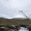 �v�dsko - NP Abisko