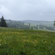 �umava - Pl�n�