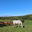 Trail Base de las Torres
