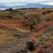 NP Þingvellir