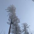 okol� Kuksu