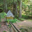 �umava - U Ml�nku, Str�n�