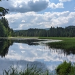 Novohradsk hory - Husk rybnk