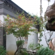 Suzhou