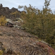 NP Þingvellir