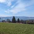 Moravsk Kopanice - dkov