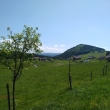 Jizerka