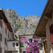 Limone