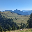 Postalm
