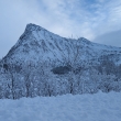 ostrov Senja