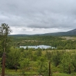 NP Stabbursdalen