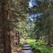 Chodn�k na Kristi�nskou �ernou horu (1085m)
