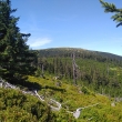 pod Kralick�m Sn�n�kem