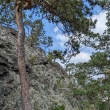 Vran skla