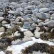 Cuillin Hills