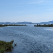 Þingvallvatn