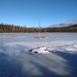�umava - Chalupsk� sla�