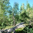 Slunen
