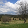 Kn��ec� pl�n�