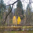 Luhaovice