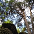 Kokonsko