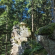 Novohradsk hory - Napoleonova hlava pod Krav Horou