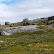 �v�dsko - NP Abisko