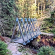 Krkono�e - Idin most