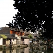 Shaoxing