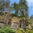 esk vcarsko