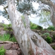 Invereve Garden