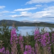 pod�l trati Narvik - Kiruna