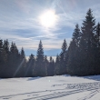 Krkono�e