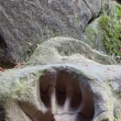 Hruboskalsko