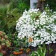 Invereve Garden