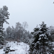 esk Kanada