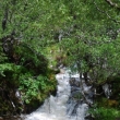 Glen Affric