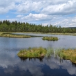 umava