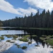 Jizersk� hory - Blatn� rybn�k