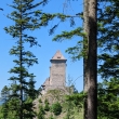 hrad Kaperk