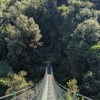 Ponte Tibetano vajo dellOrsa