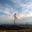 Krkono�e